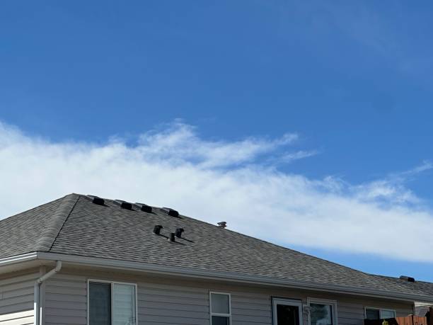 Best Gutter Installation and Repair  in Nescopeck, PA